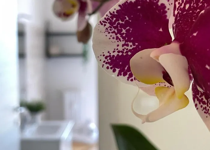 Gran Sasso Mini Relax *